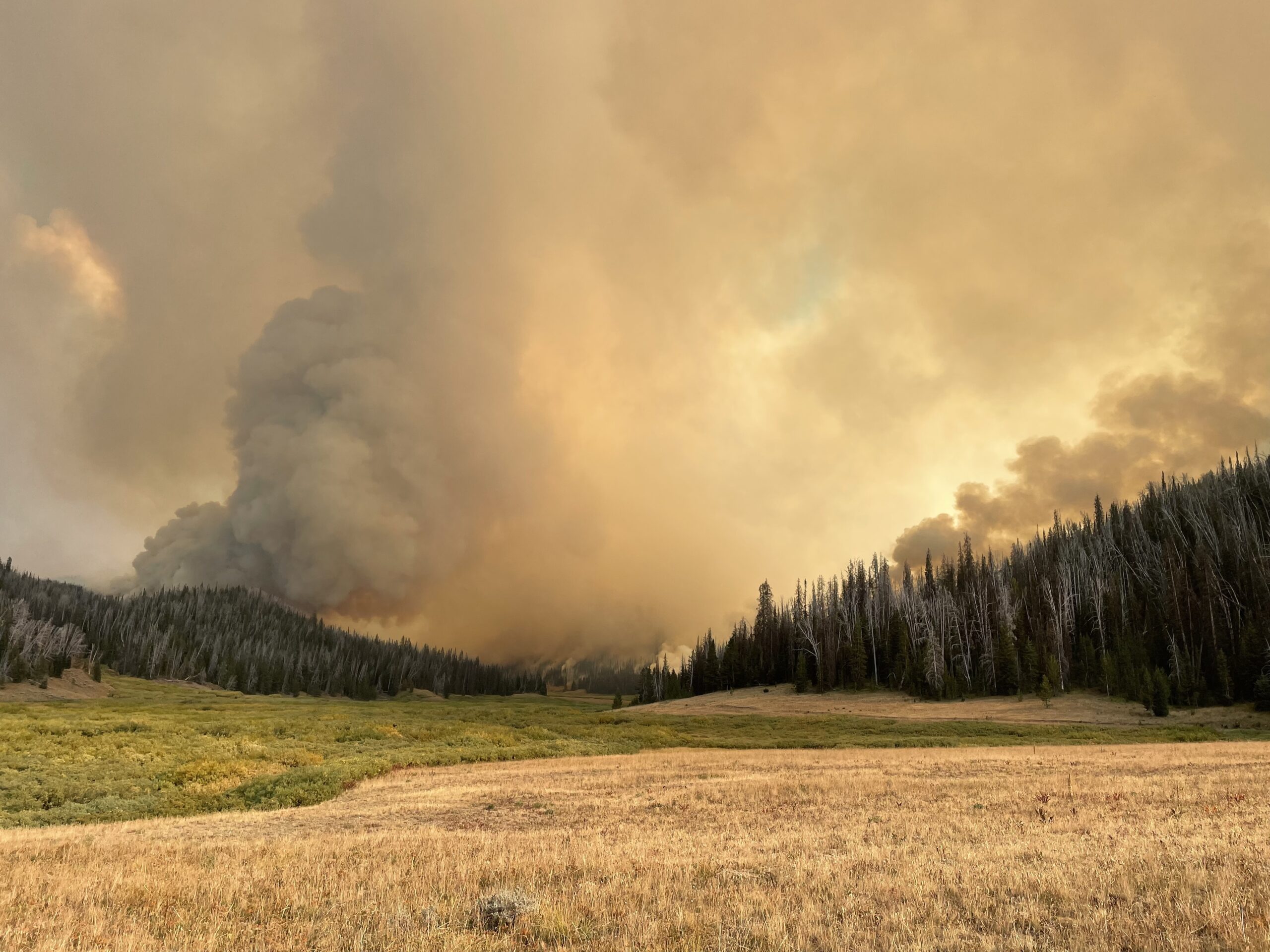 Fish Creek Fire now at 15,500 acres; 54% contained